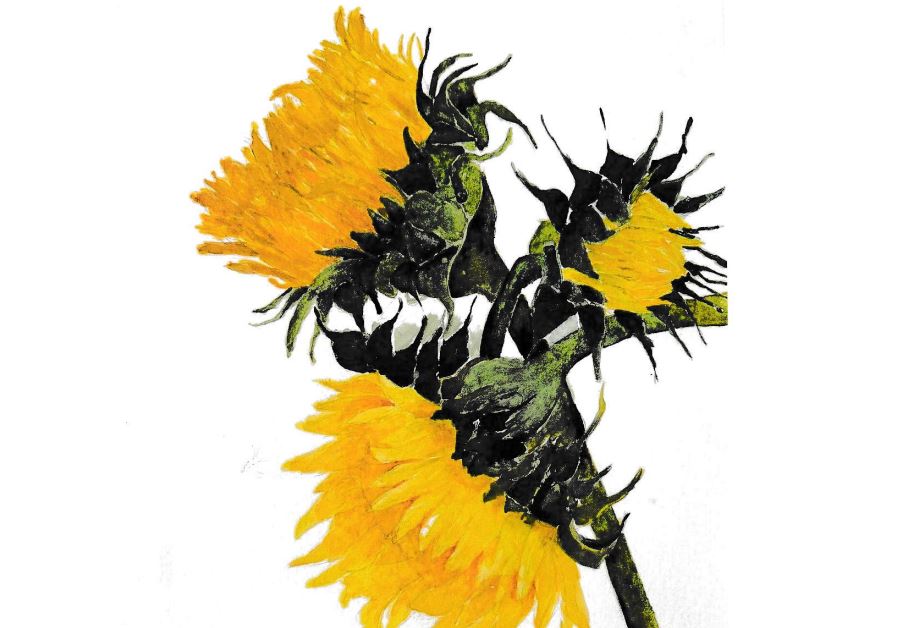 images/Fotos_FAZ/20251017 Galerie-im-ZiM-Ausstellung-Plote.JPG